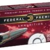 Federal Premium 6mm Rem Ammunition