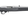 Ruger 10/22 Semi-automatic Rifle