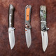 Benchmade 15061 Grizzly Ridge AXIS Lock Folding Hunter